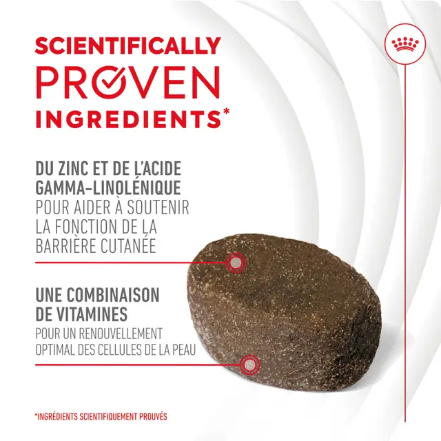 Skin & Coat Chews Adult Dog Supplements