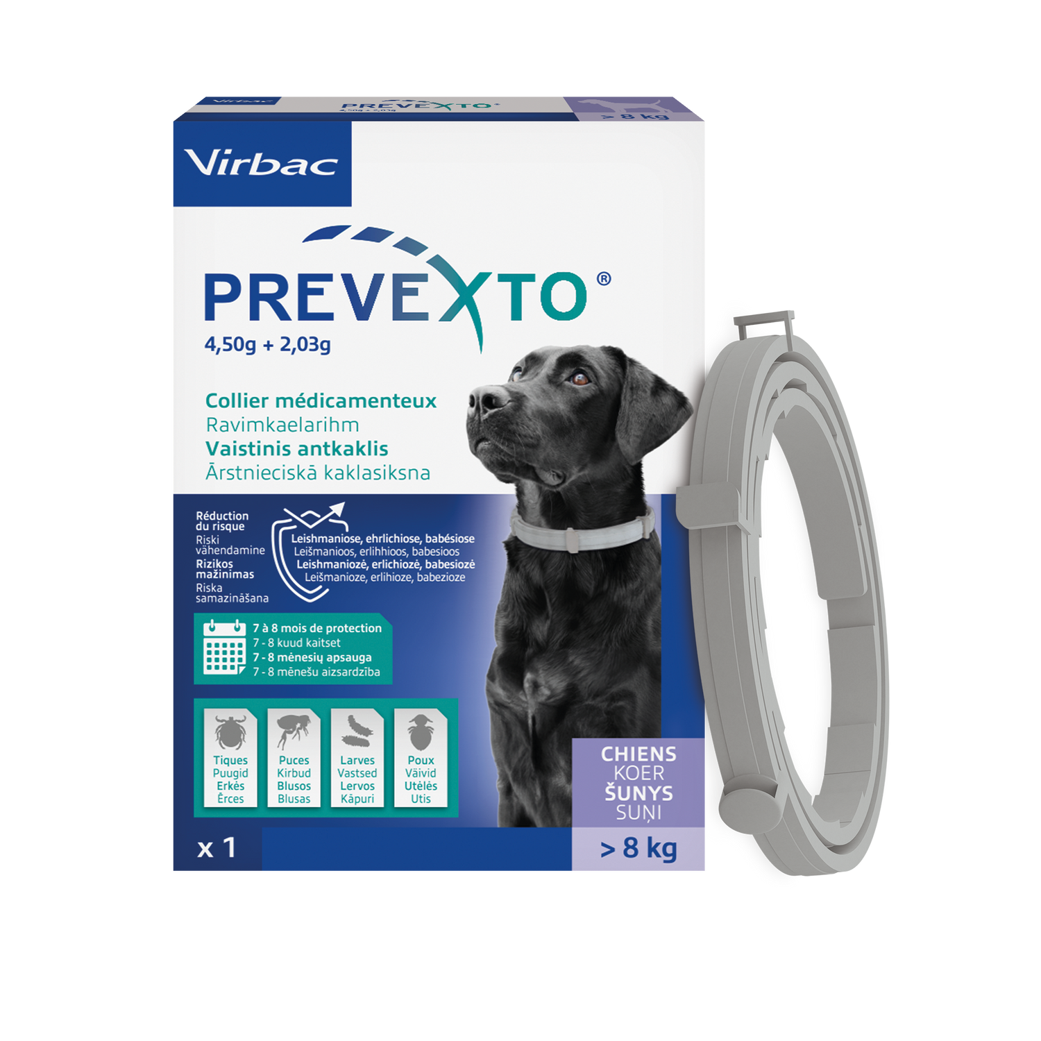 PREVEXTO  collier pour chien