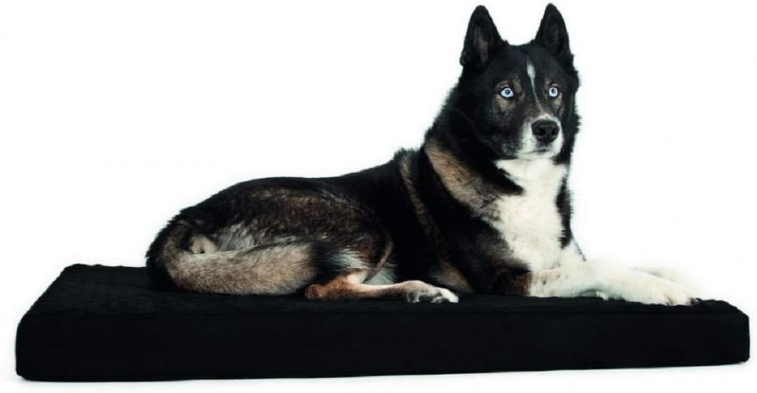 Back On Track Matelas pour chien 60 cm x 70 cm
