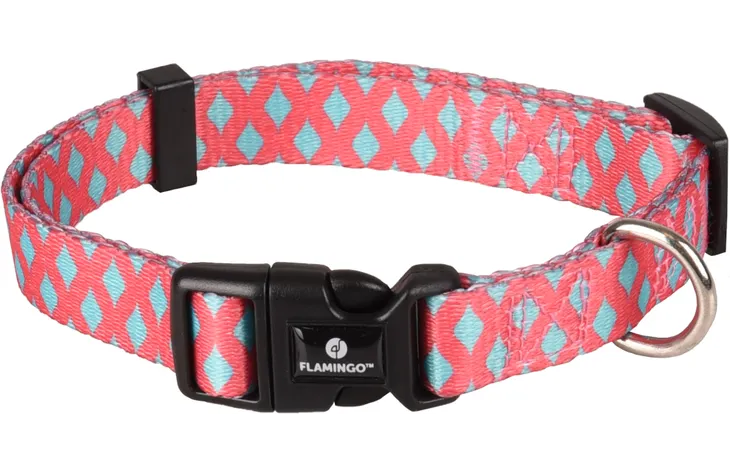 Collier sue 20 mm chien