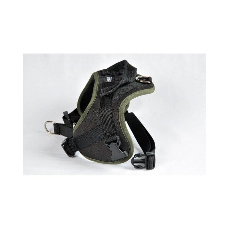 ANIMALIN MULTI HARNAIS