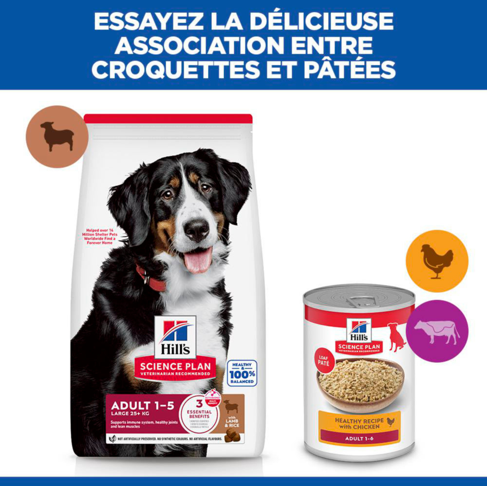 Sp Chien Adulte 1-5 Large Lambrice