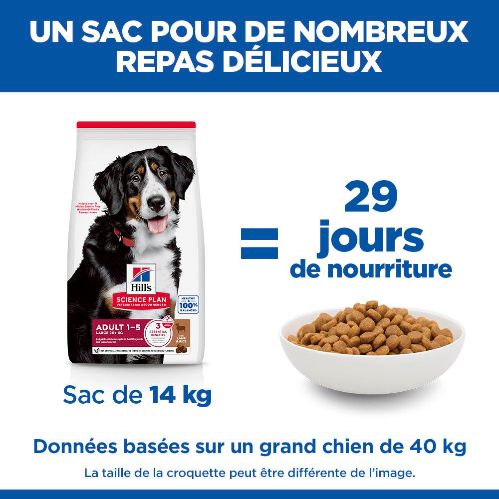 Sp Chien Adulte 1-5 Large Lambrice