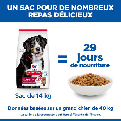 Sp Chien Adulte 1-5 Large Lambrice
