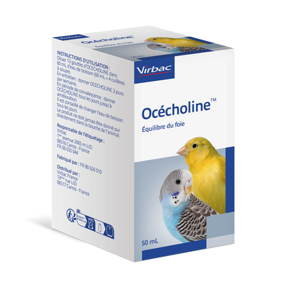 Ocecholine