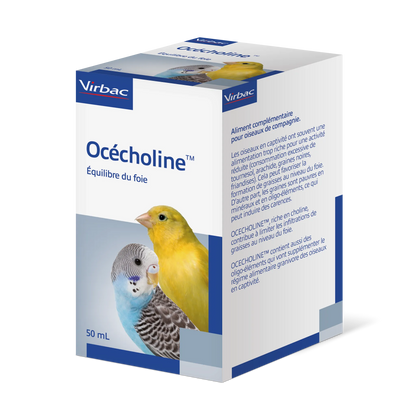 Ocecholine