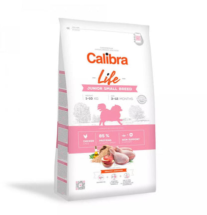 Cal Lf Chien Junior