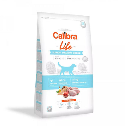 Cal Lf Chien Junior