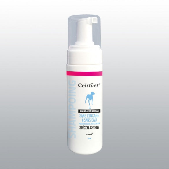 Shampoing sec mousse chien