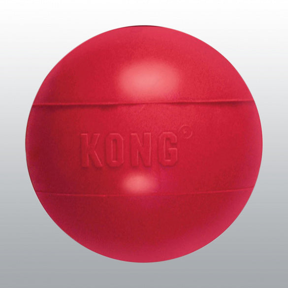 Balle rebondissante pour chien