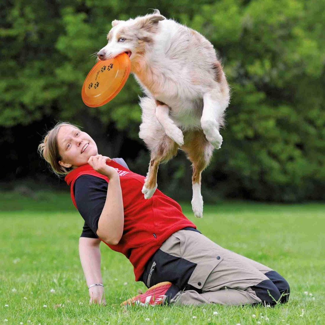 FRISBEE DOG DISC