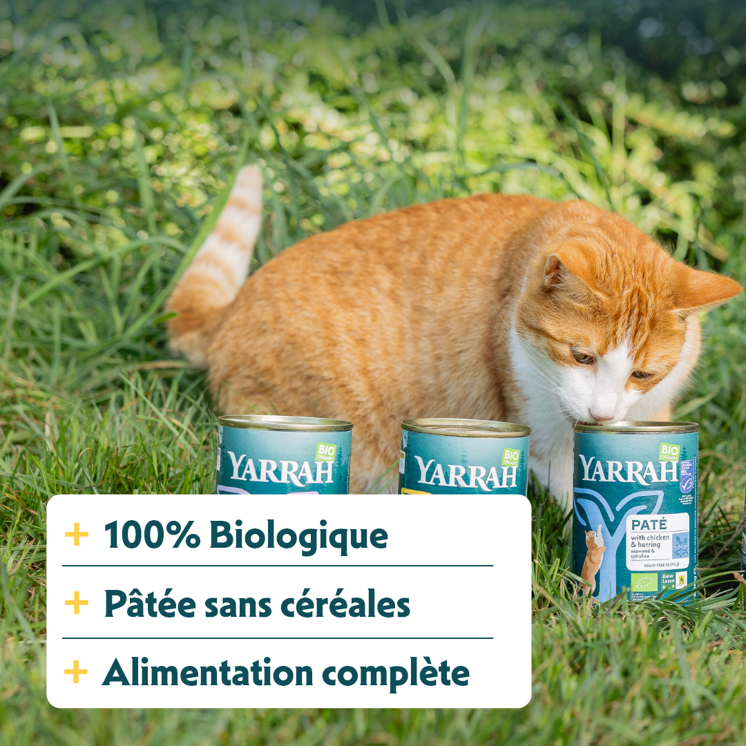 Yarrah pâtées bio - Lot 12 x 400g