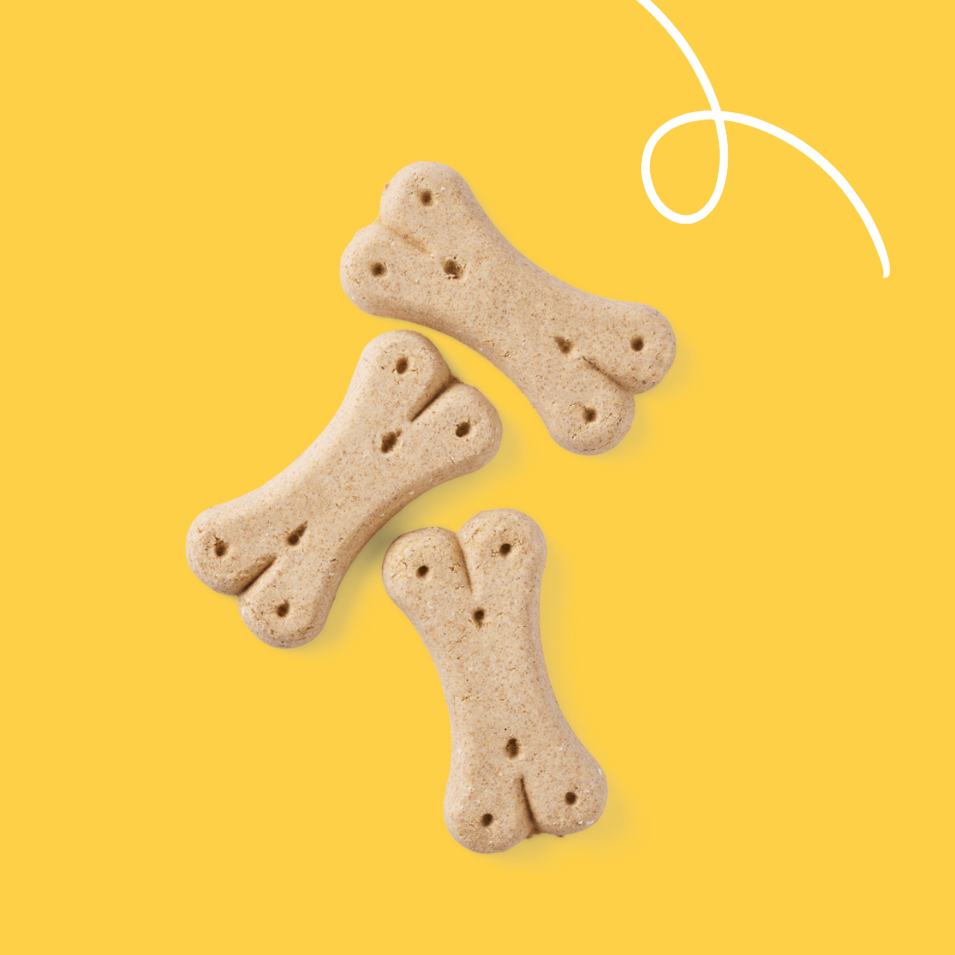 Yarrah biscuits bio végétarien pour grand chien