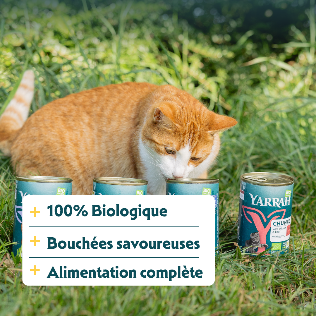 Yarrah bouchées bio - Lot 12 x 405g