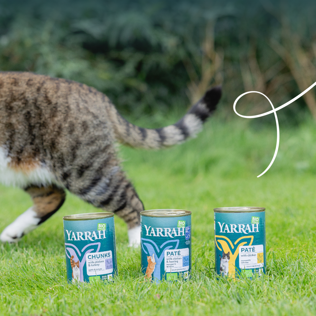 Yarrah bouchées bio - Lot 12 x 405g