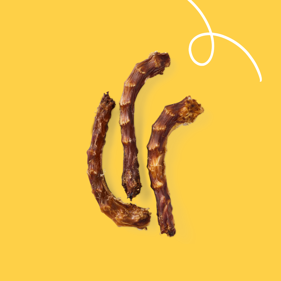 Yarrah cous de poulet bio pour chien