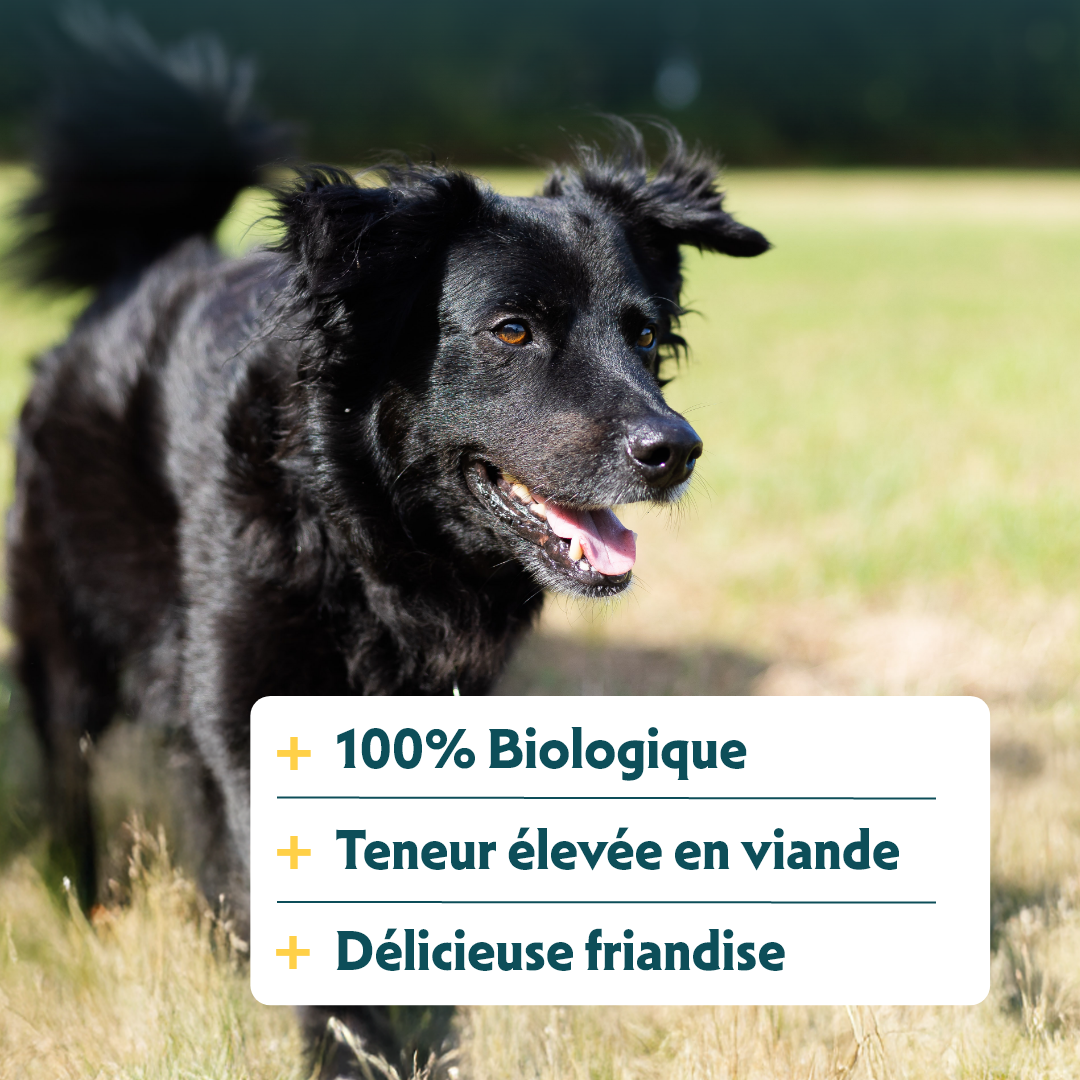 Yarrah sticks à mâcher bio pour chien