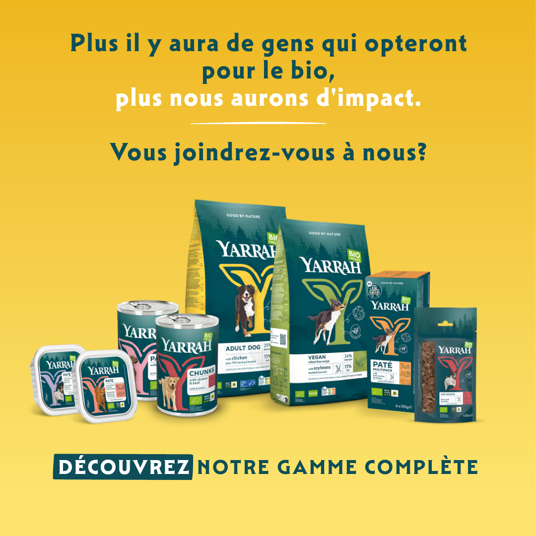 Yarrah sticks à mâcher bio pour chien