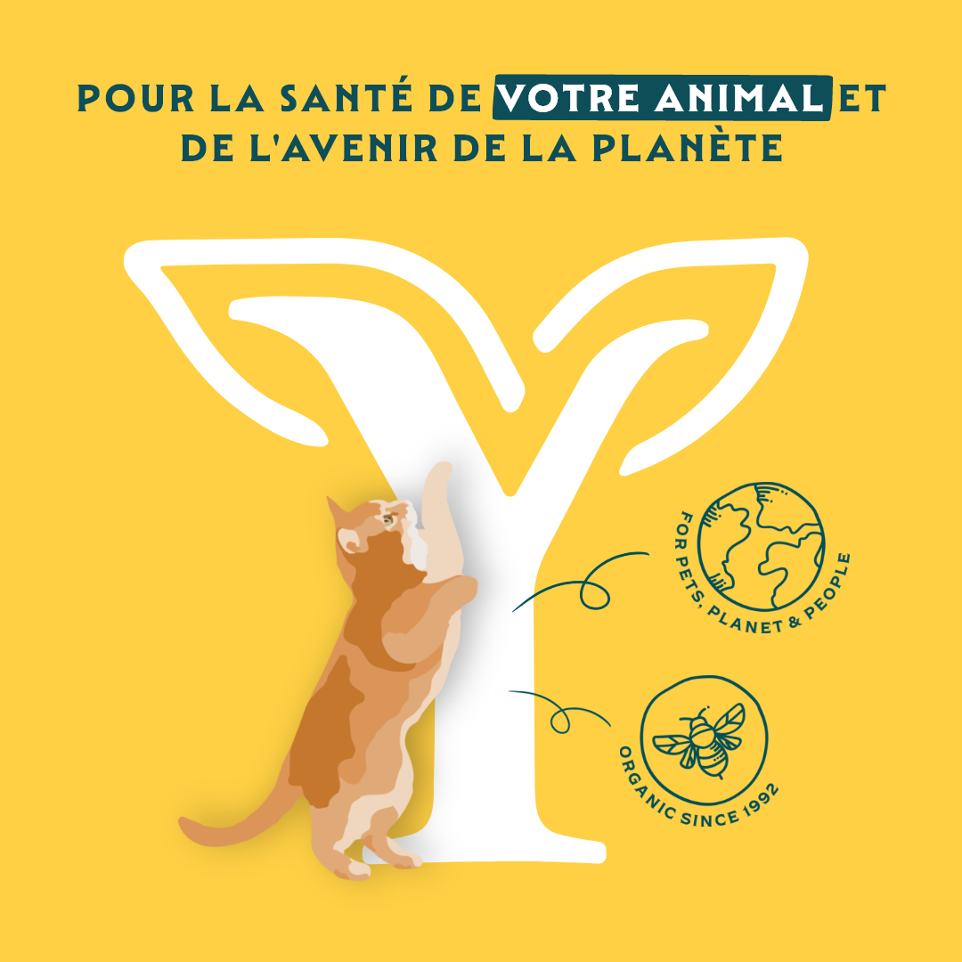 Yarrah sticks à mâcher bio pour chat