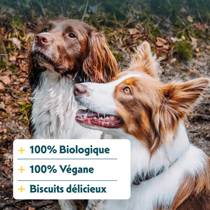 Yarrah biscuits bio végétarien pour petit chien
