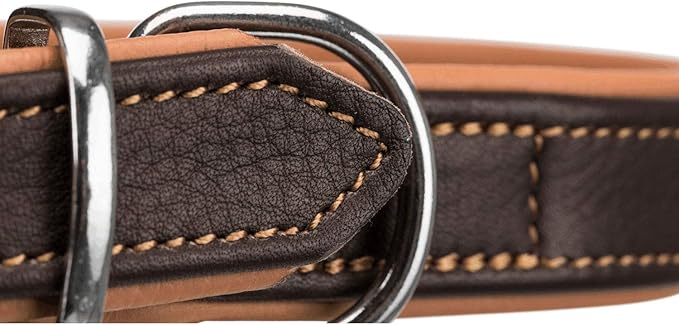 COLLIER ACTIVE COMFORT