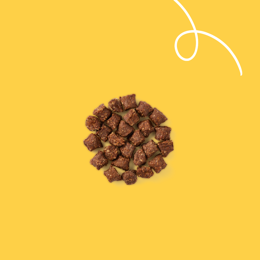 Yarrah mini snacks bio pour chat