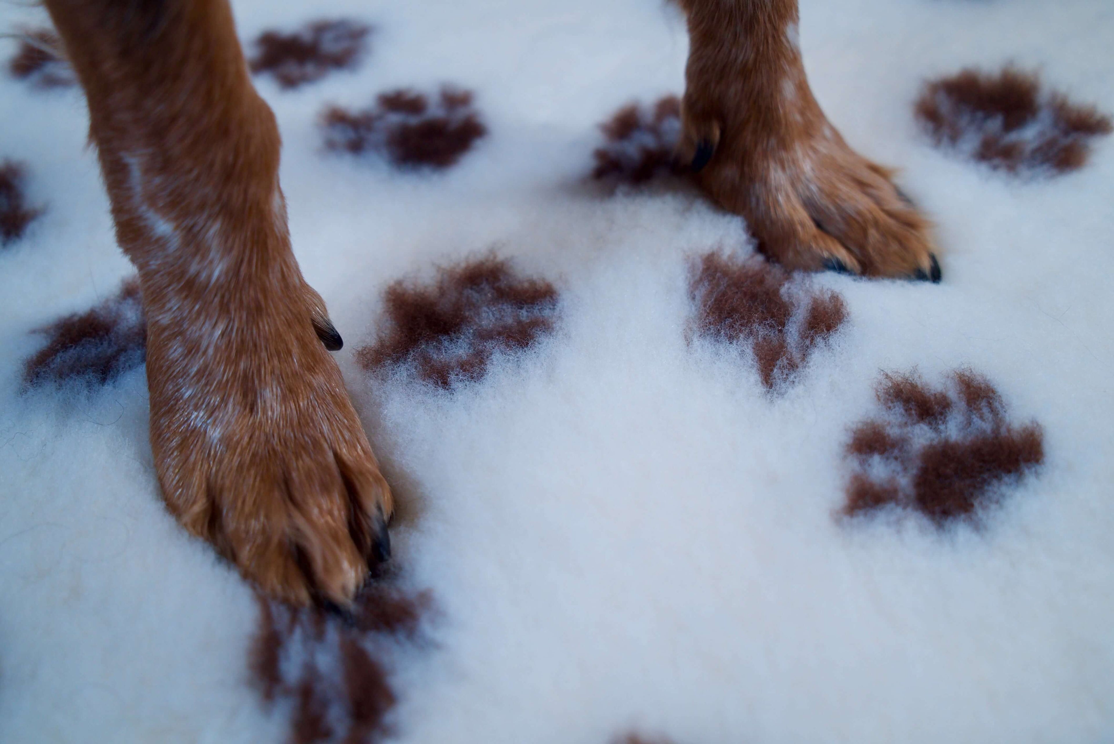 Tapis type Vetbed Petbed