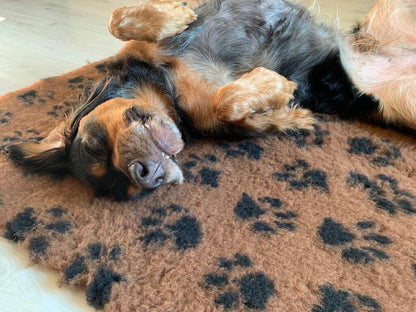 Tapis type Vetbed Petbed