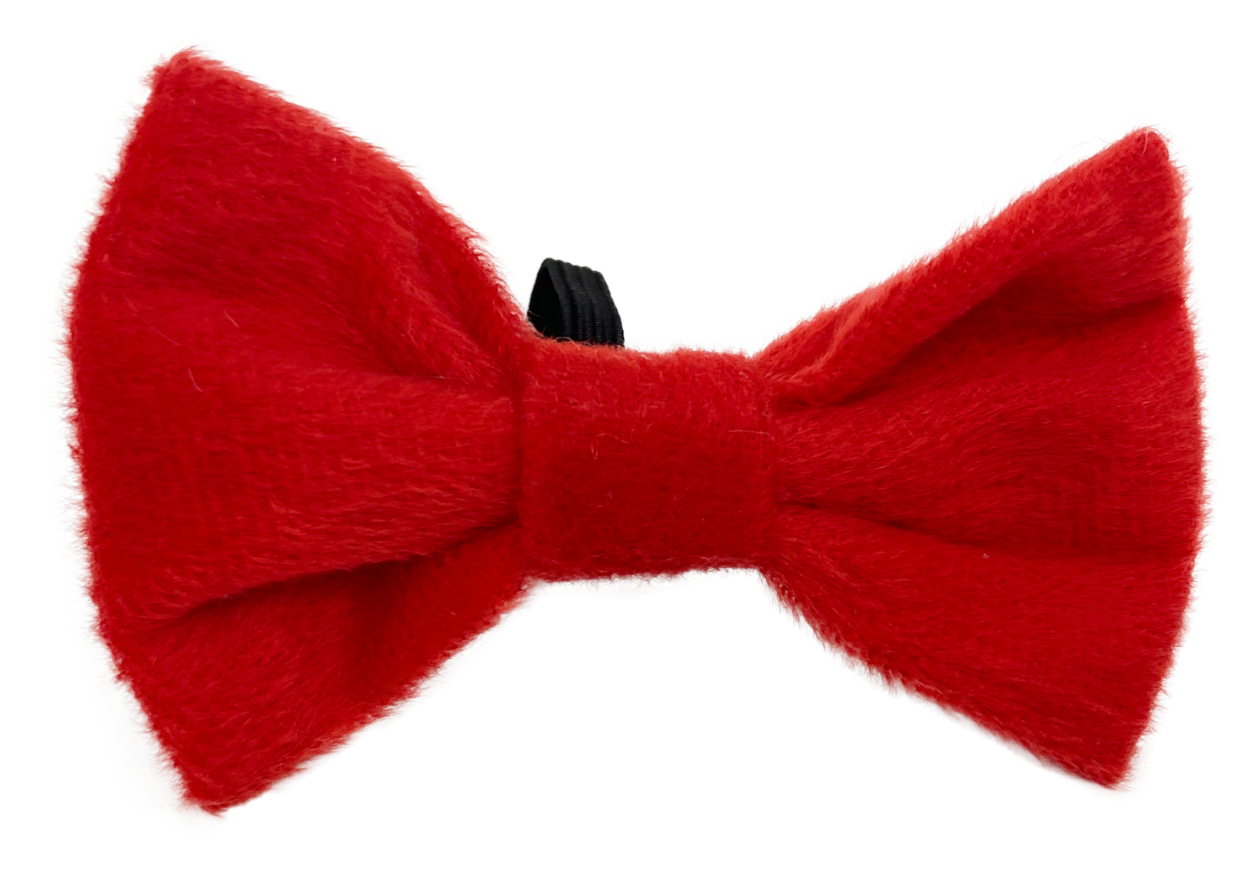 Noeud rouge de Noel pour chien et chat