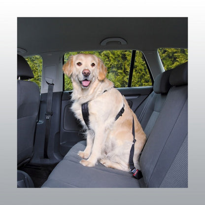 Harnais de securité auto pour chien