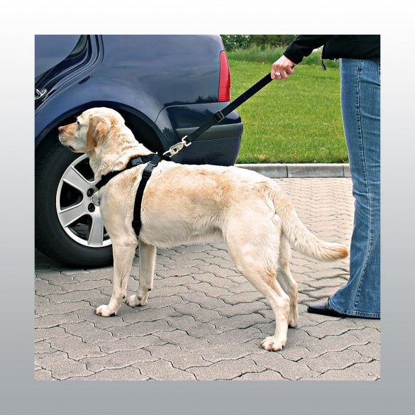 Harnais de securité auto pour chien
