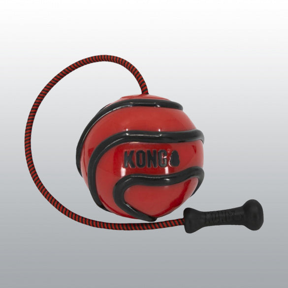 Jouet Kong Wavz Bunji Ball
