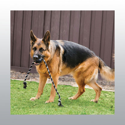 Jouet Kong Extrême Ball avec cordre