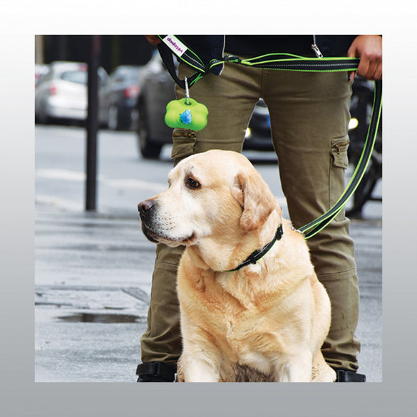 Distributeur Ramasse crotte Pop Up