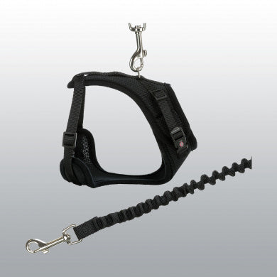 Harnais Y avec laisse anti-secousses pour chat