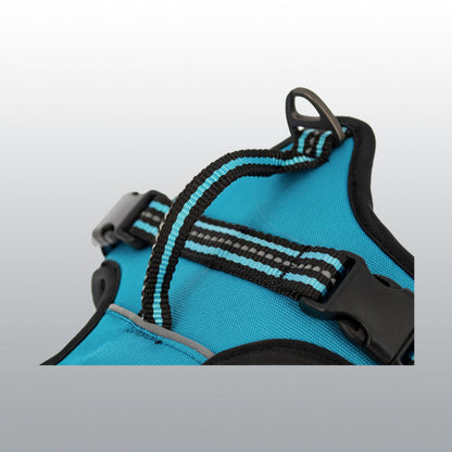 Harnais Dynamic coloré pour chien