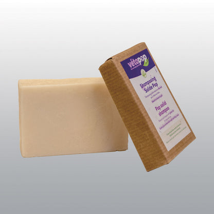 Shampoing solide pour chien et chat