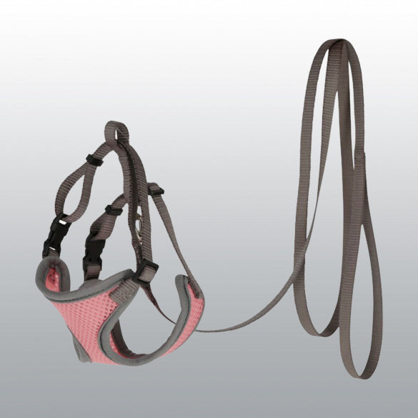 Harnais et laisse Corail pour chat