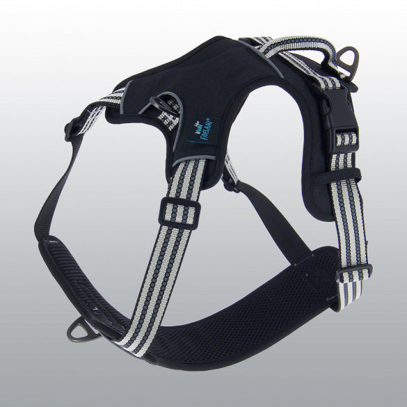 Harnais Dynamic coloré pour chien