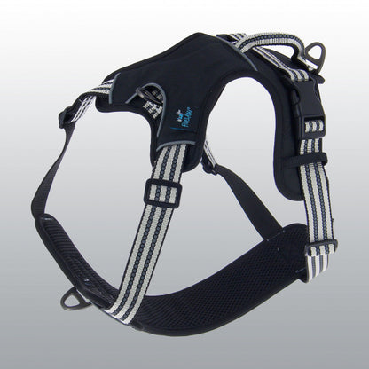 Harnais Dynamic coloré pour chien