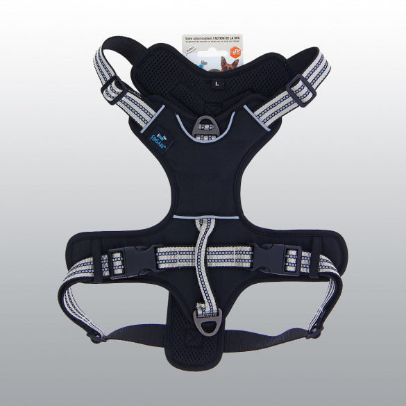 Harnais Dynamic coloré pour chien