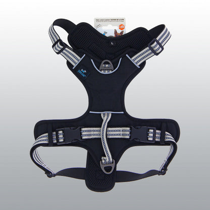Harnais Dynamic coloré pour chien