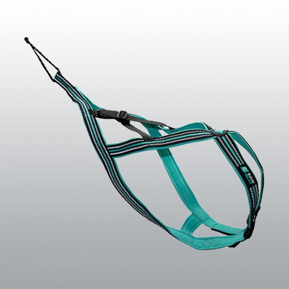 Harnais Olympia type X pour chien