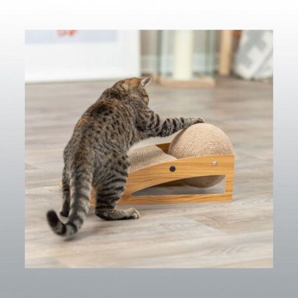 Griffoir rampe avec Balle