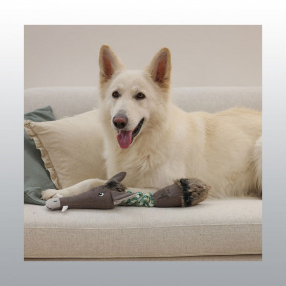 Peluche sanglier avec corde