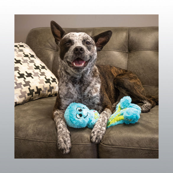 Jouet Wubba octopus pour chien