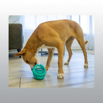 Jouet Kong Licks Rewards