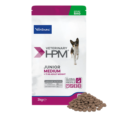 Croquettes chien de taille moyenne junior