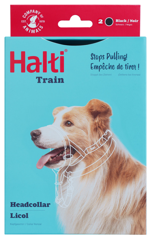 Collier Halti noir chien