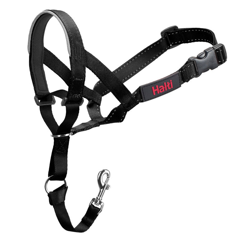 Collier Halti noir chien